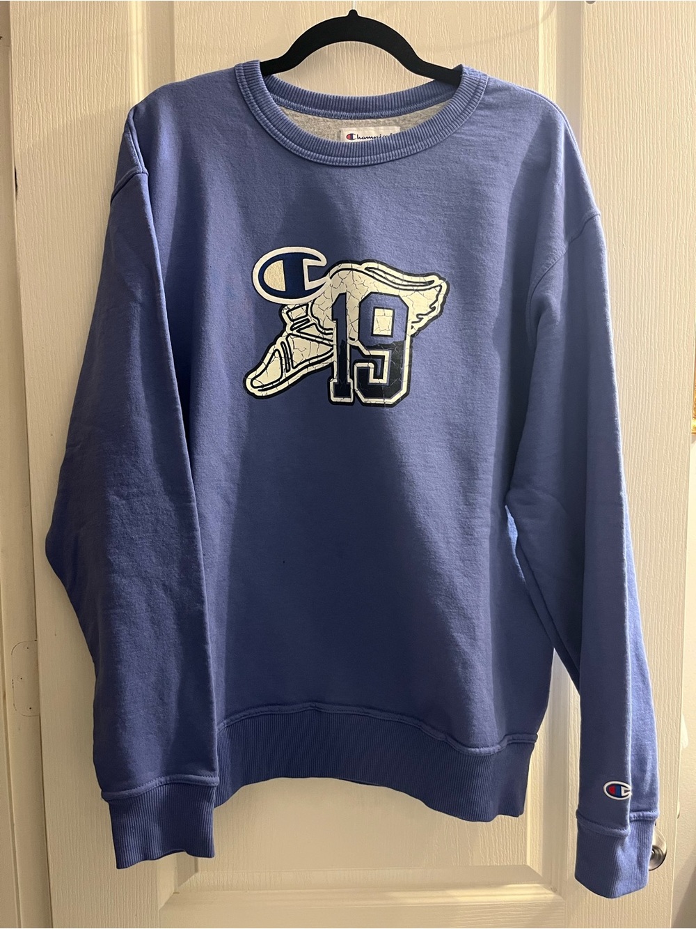 Champion Men's Blue/Purple Pullover Sweatshirt Fleece Crew Neck Logo Graphic L